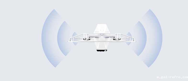 Dual magnetic compasses